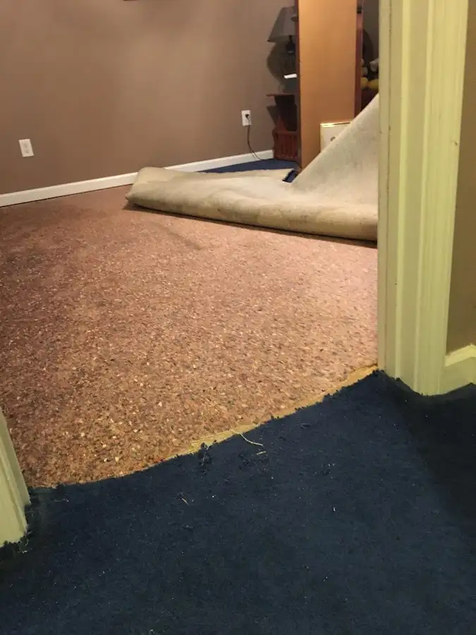 Carpet pad removal revealing water damage during Water Mitigation Services in Pine Ridge